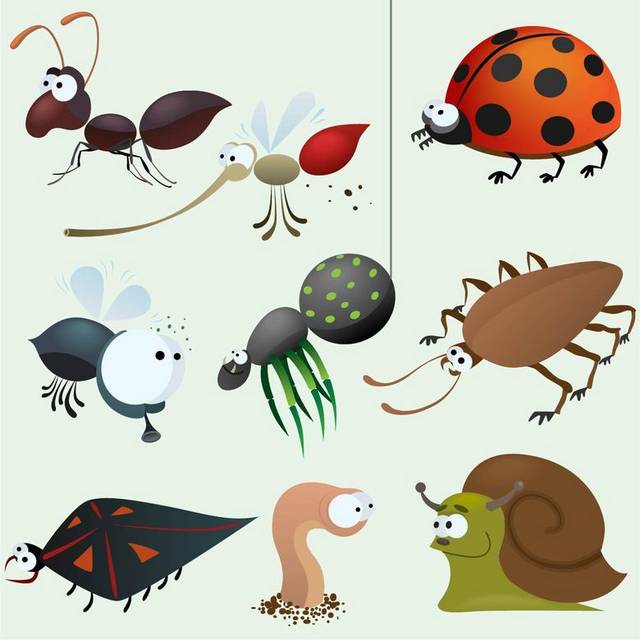 卡通昆虫蚂蚁和其他
