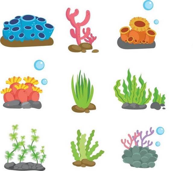 多种海藻和珊瑚