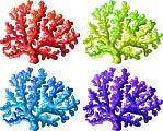 多种颜色珊瑚