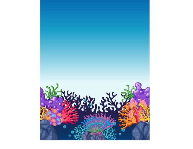 大片珊瑚
