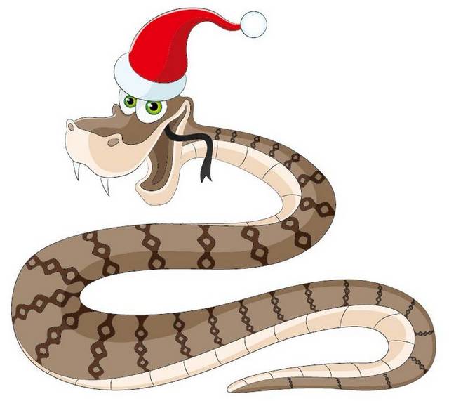 带圣诞帽的蛇