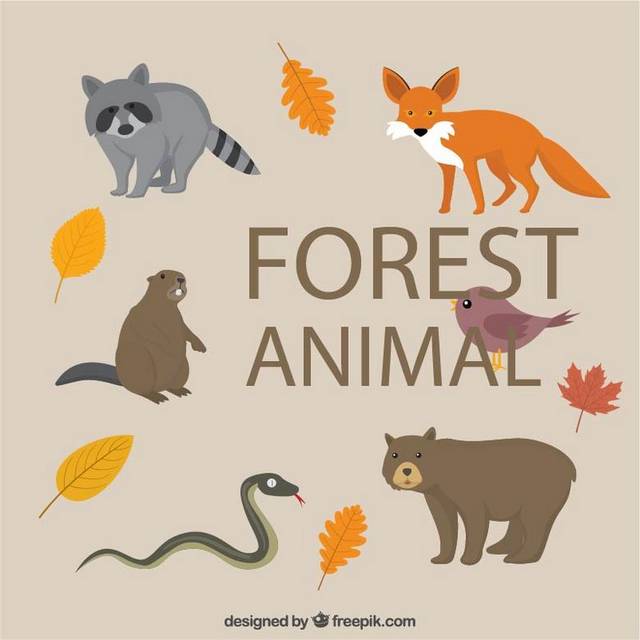 森林动物手绘素材