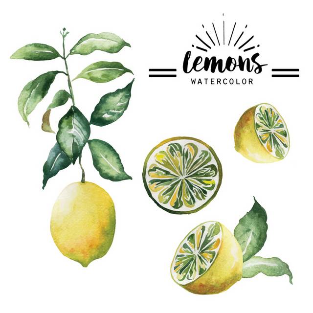 4款彩绘水果柠檬矢量图