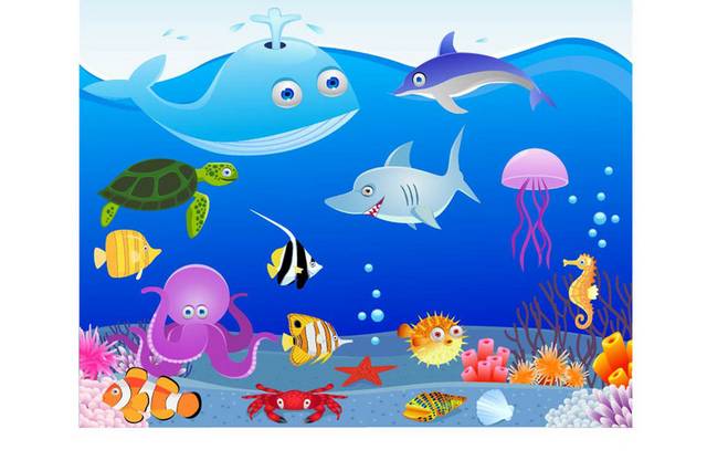 绿色海龟和其他海洋动物