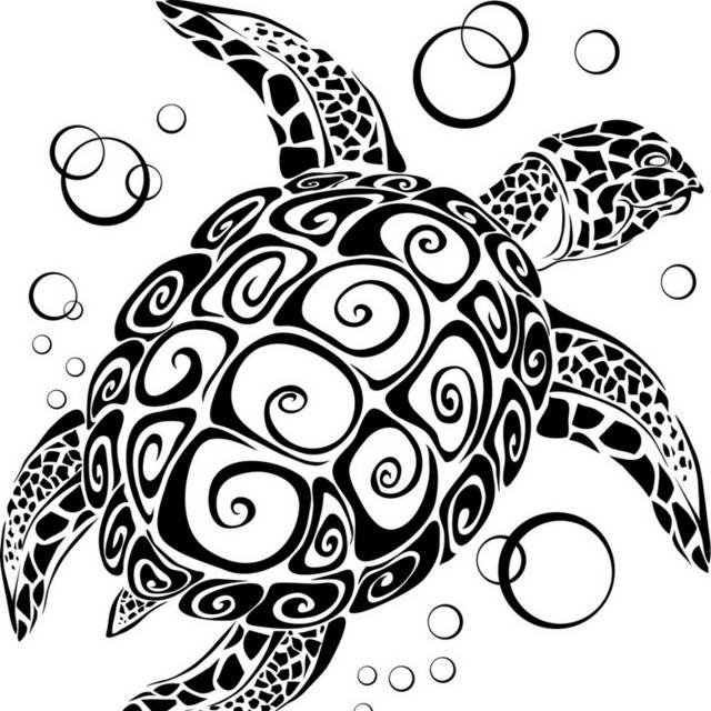 创意海龟图案