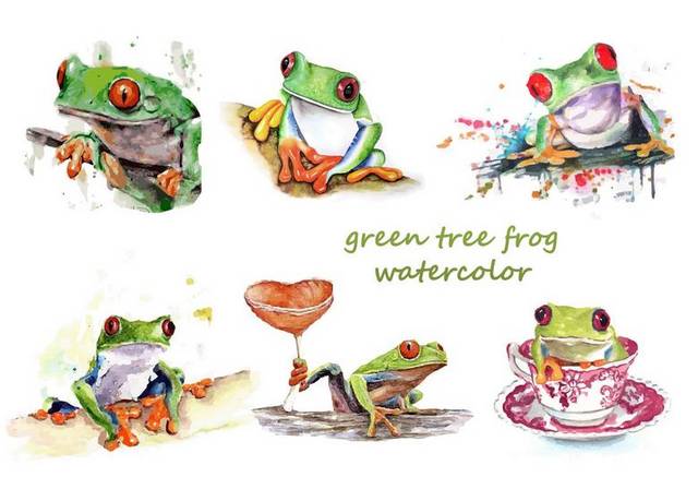 彩色手绘青蛙素材