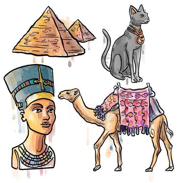 骆驼和猫素材