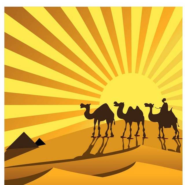 骆驼和阳光素材