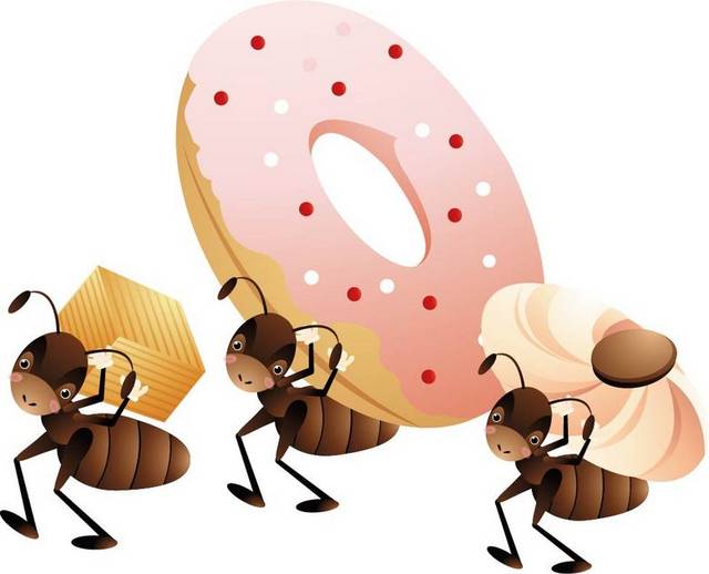 蚂蚁和甜甜圈素材