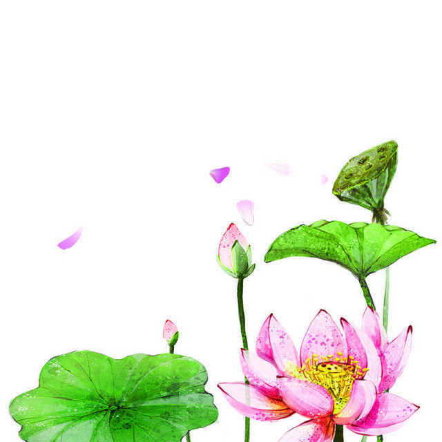 手绘荷花设计元素