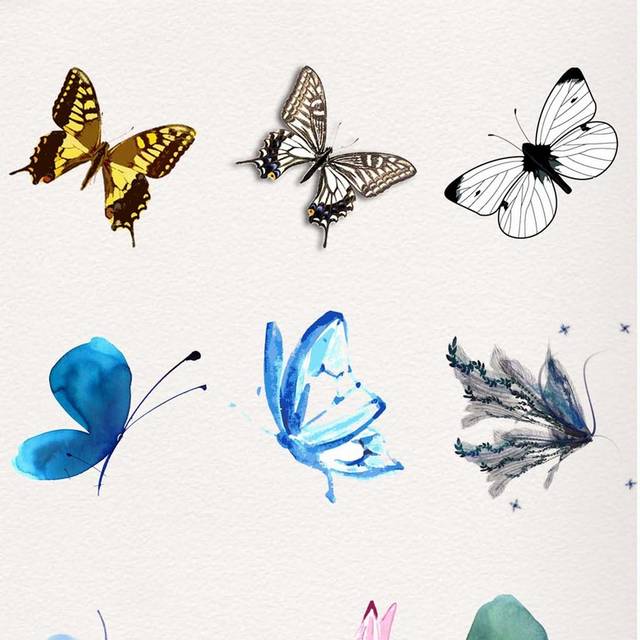 各类蝴蝶设计素材