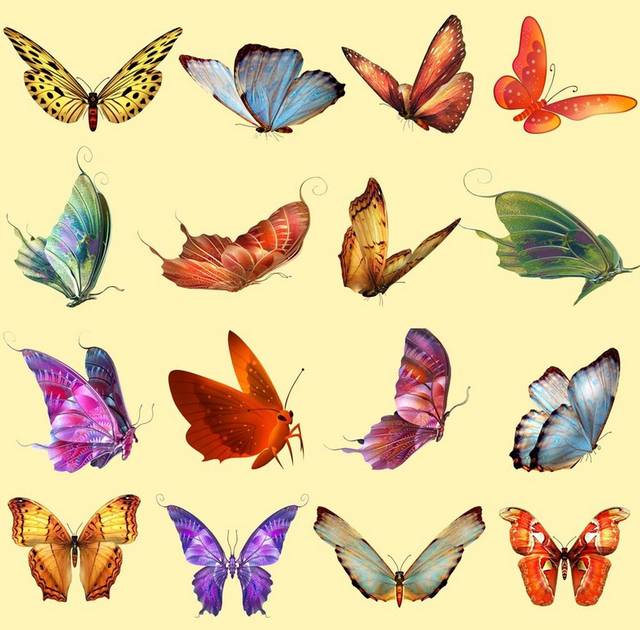 多种蝴蝶合集