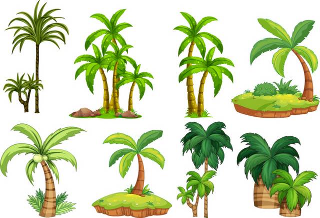 绿色椰子树设计矢量素材