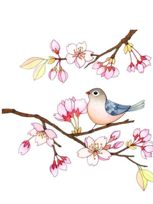 手绘素材海棠和小鸟