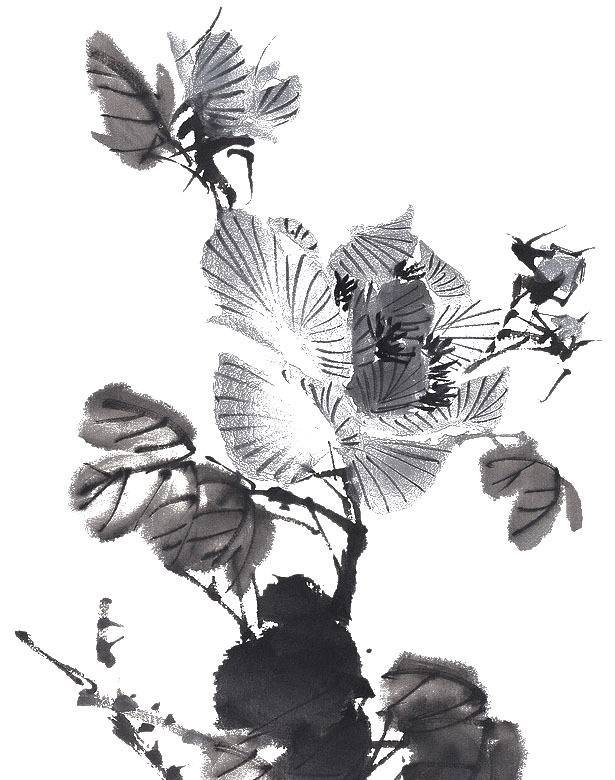 黑白手绘海棠