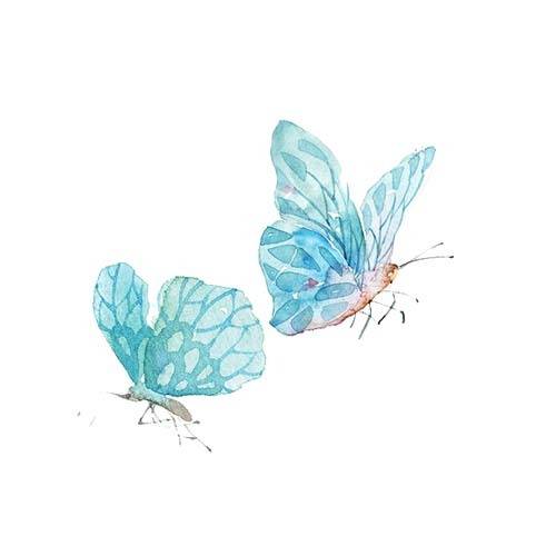 两只蝴蝶手绘