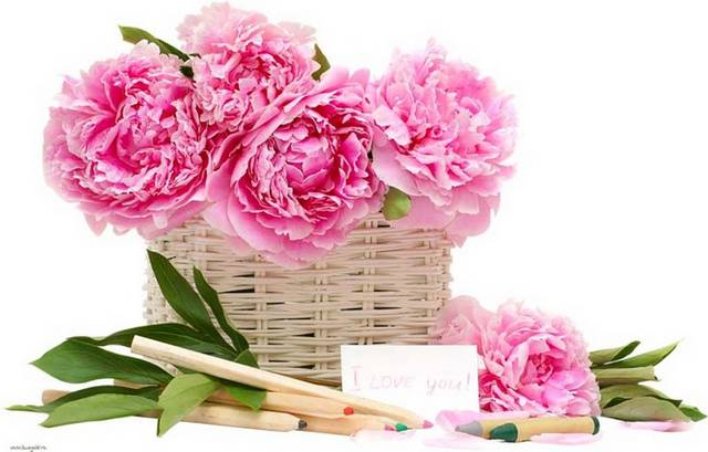 花篮中的粉色康乃馨
