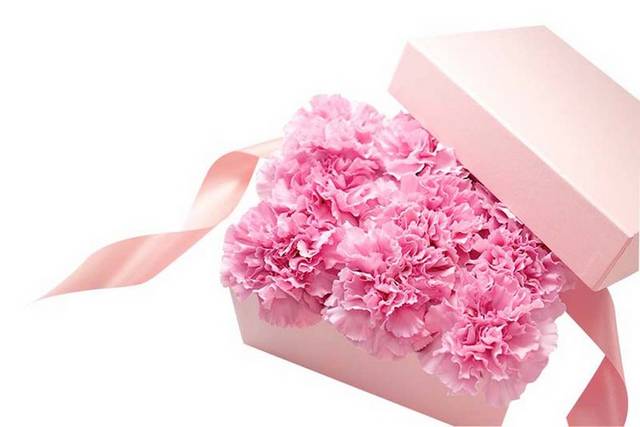 礼盒中的粉色康乃馨