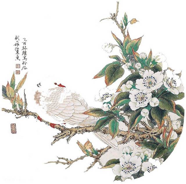 精美手绘梨花