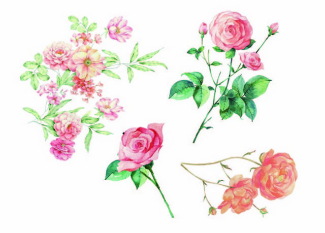 手绘蔷薇设计素材