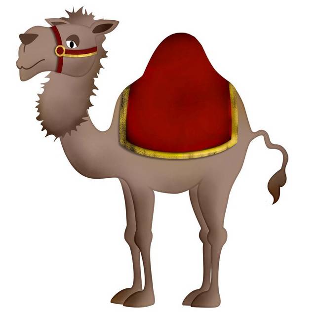卡通带汗巾骆驼
