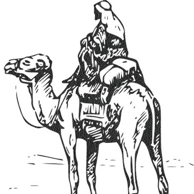 黑白手绘骆驼