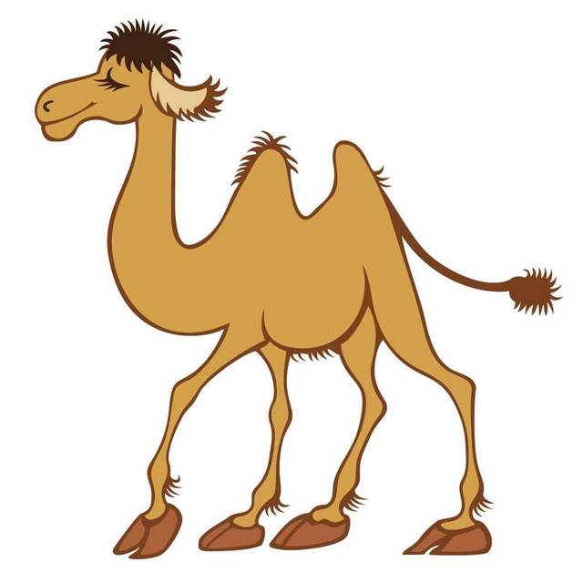 卡通骆驼图案