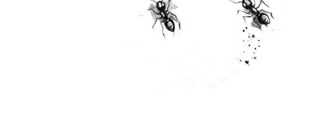 蚂蚁铅笔画
