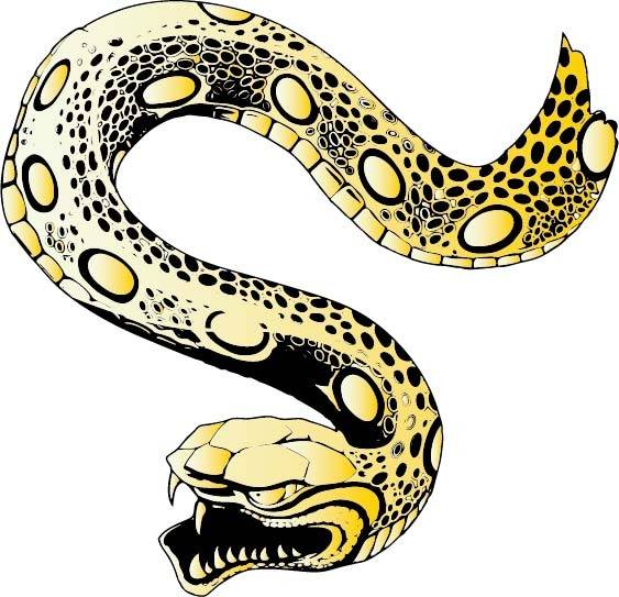 蟒蛇绘画