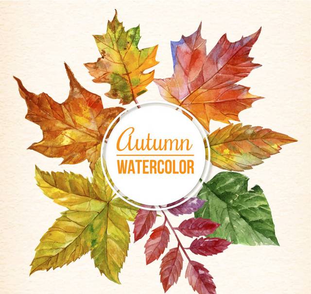 水彩绘秋季树叶框架矢量素材