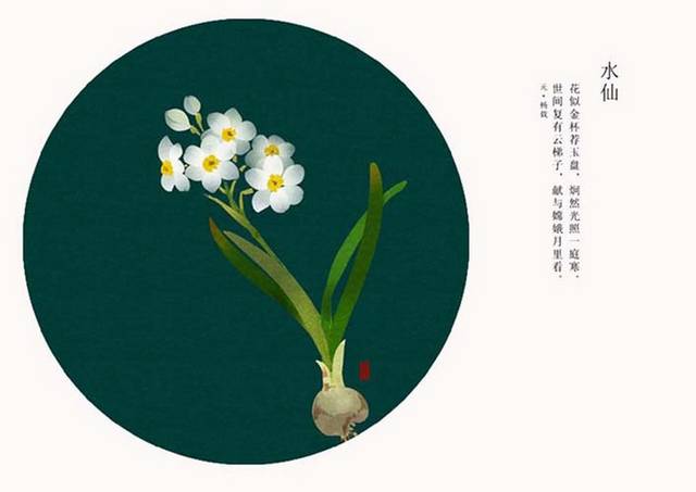 古风水仙花设计素材