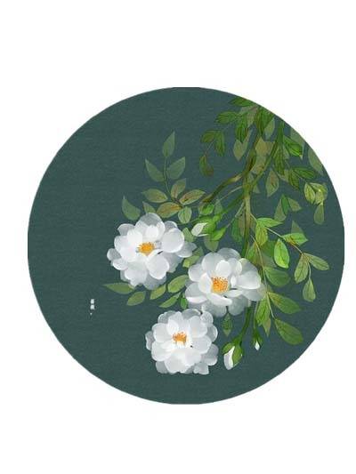 三朵白色蔷薇手绘