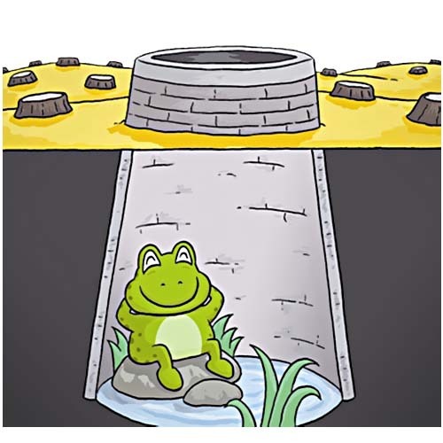 井底的青蛙