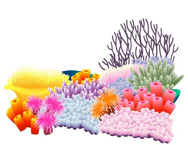 多种海底珊瑚