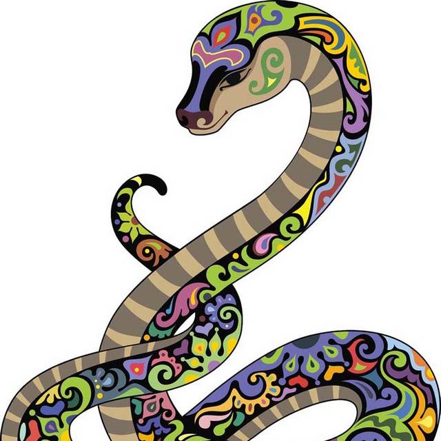 创意花纹蛇