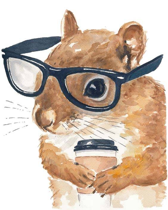 戴眼镜的松鼠