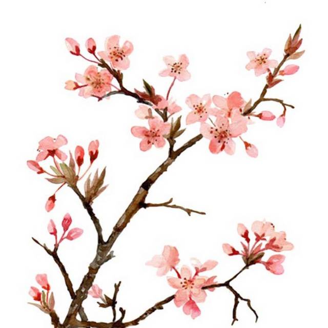 粉色桃花手绘素材免抠