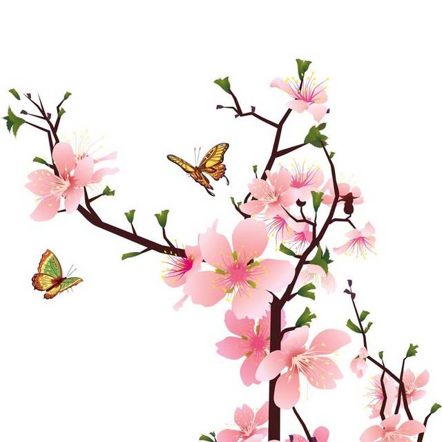 春天盛放的桃花手绘