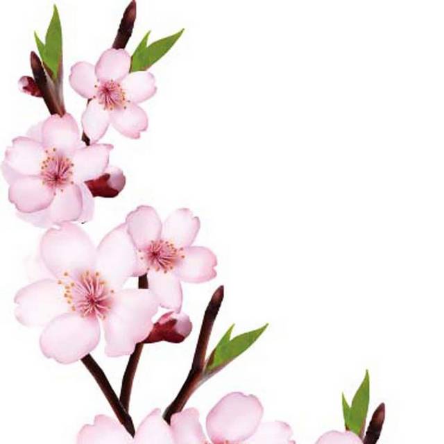 精品手绘素材桃花