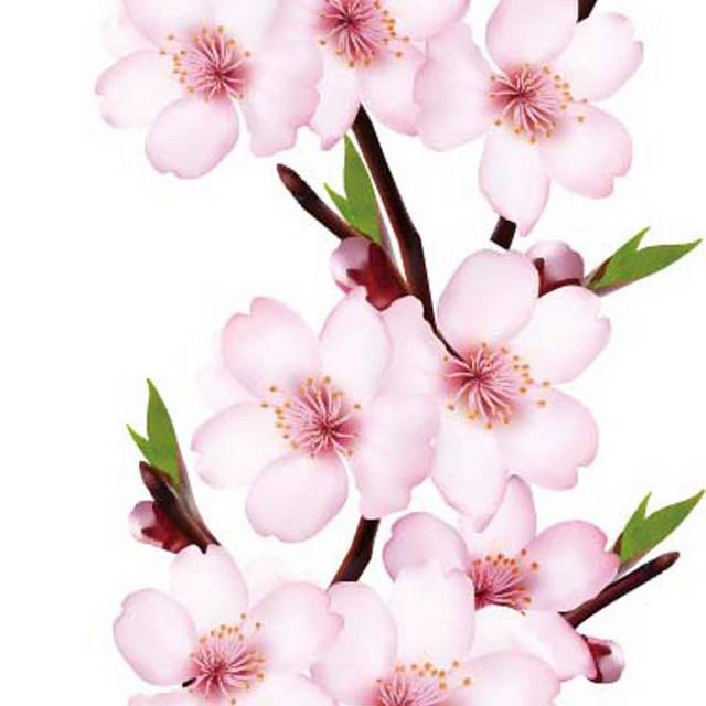 精品手绘素材桃花