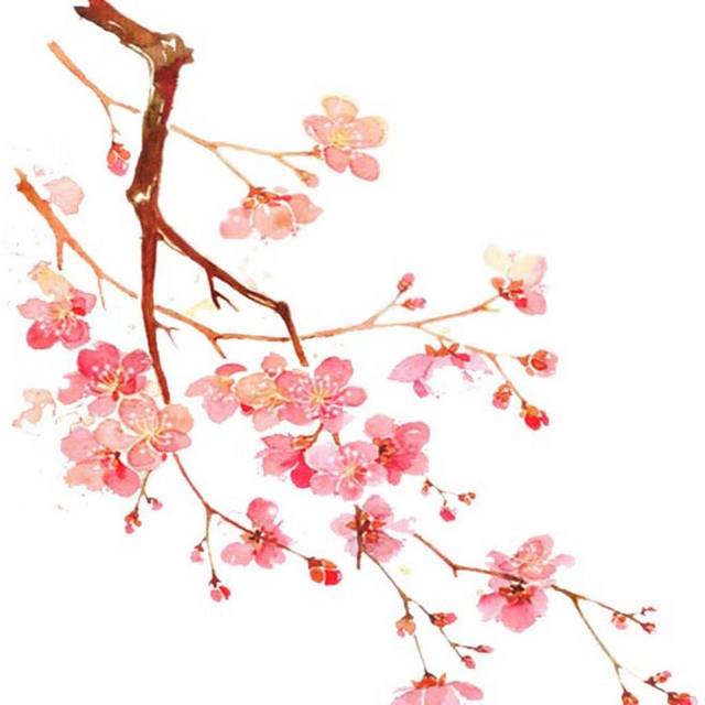 手绘盛开的桃花素材