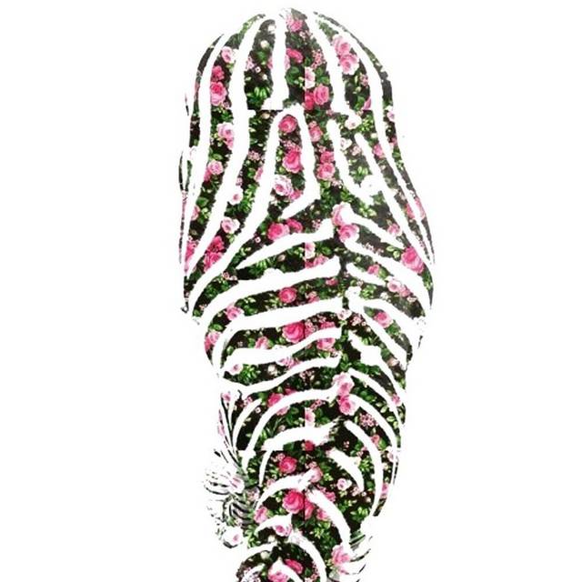 创意手绘斑马