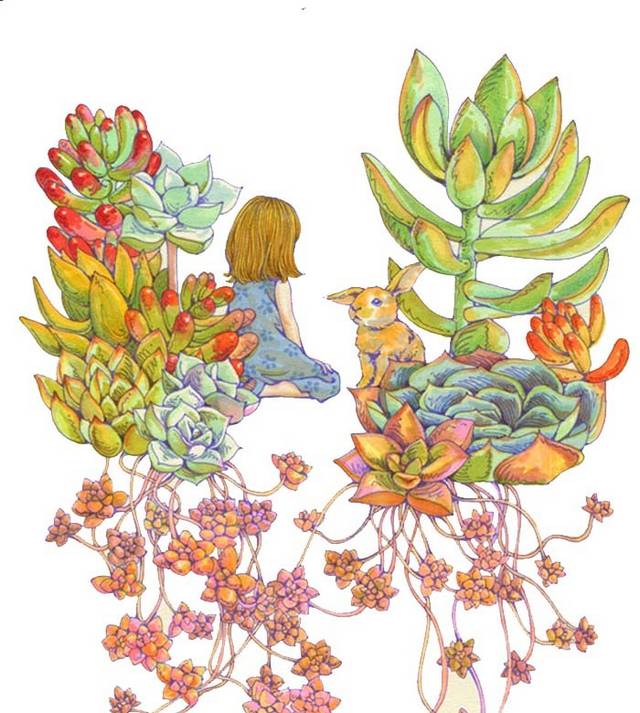 七彩多肉植物盆栽
