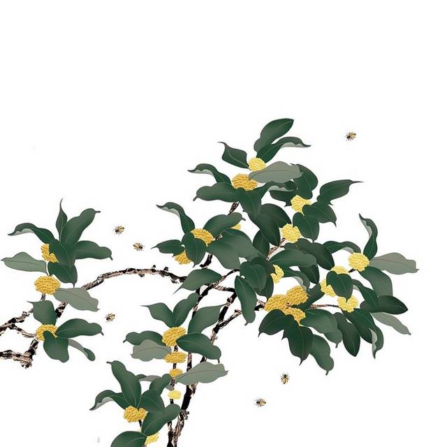 金色桂花树手绘