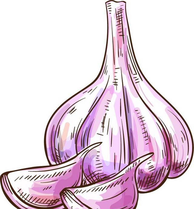 紫色卡通大蒜