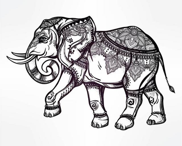 手绘线条大象