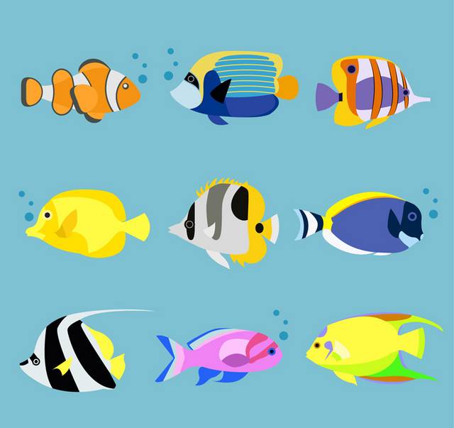 9种卡通海洋鱼类矢量图