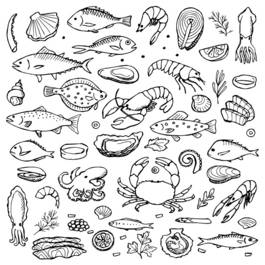 魚蝦圖 101,708 張「蝦」庫存向量圖與一般向量圖| Shutterstock