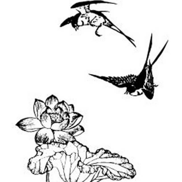 手绘飞行的喜鹊和花素材
