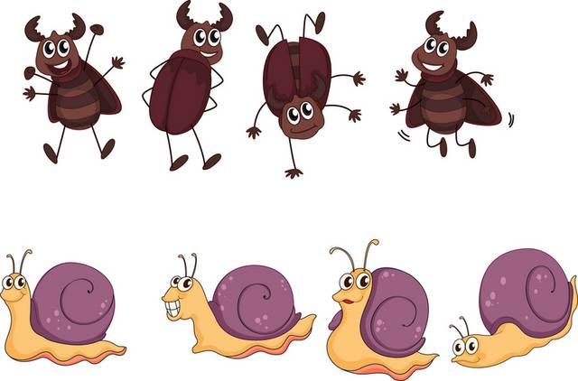 卡通蟑螂和蜗牛素材